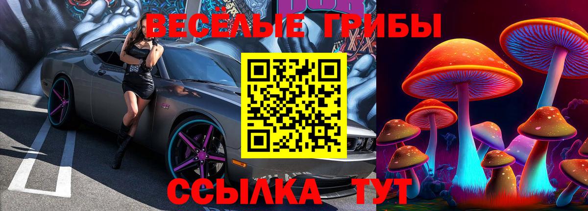 Галлюциногенные грибы мицелий Ликино-Дулёво