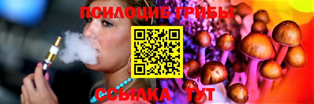 где купить наркоту  Галлюциногенные грибы прущие грибы  Псилоцибиновые грибы Psilocybe  Вход с VPN  Ликино-Дулёво 